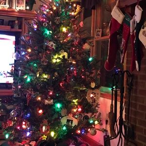 Meet your Posher, Liz